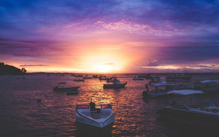 FJ : Comment le corps en souffrance te pilote et se renouvelle ?