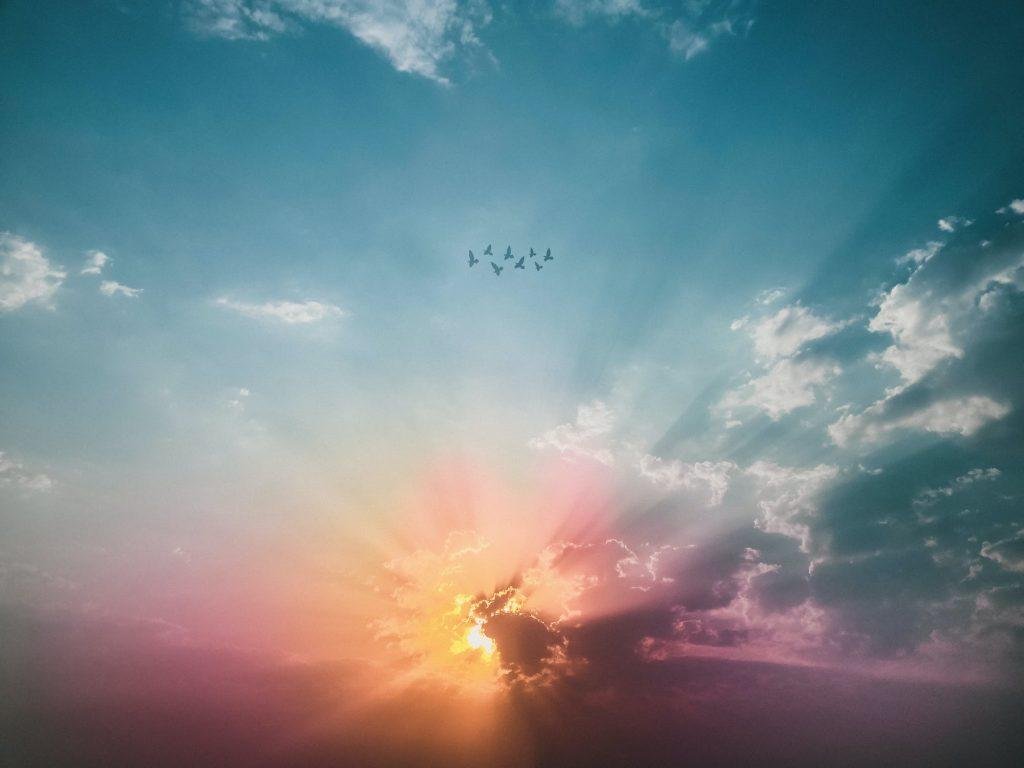 Jetsunma Tenzin Palmo