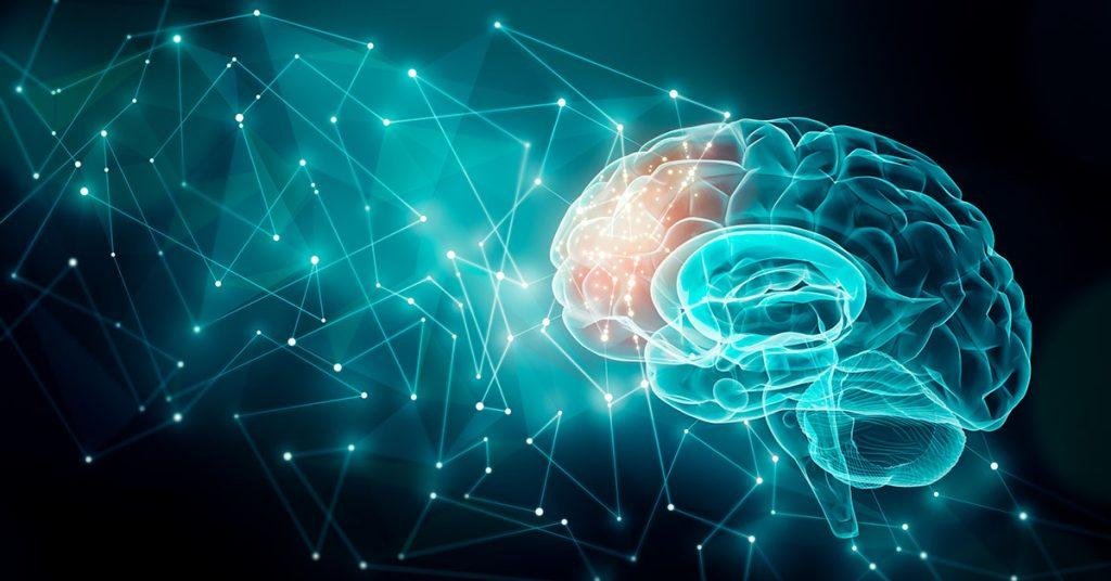 les 15 distorsions cognitives les plus courantes