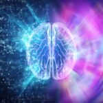 Le cerveau ne perçoit pas, il prédit : comprendre le predictive processing traitement anticipatif de l'information